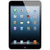Apple iPad mini 64Gb Wi-Fi черный - Углич